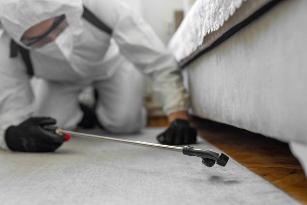 Professional Termite Control technician working in Arlington, MN