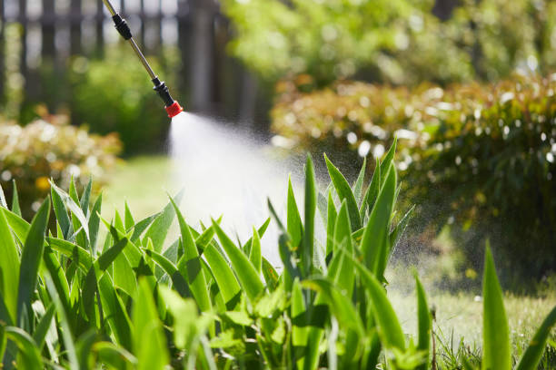 24/7 Emergency Termite Control experts in Arlington, MN